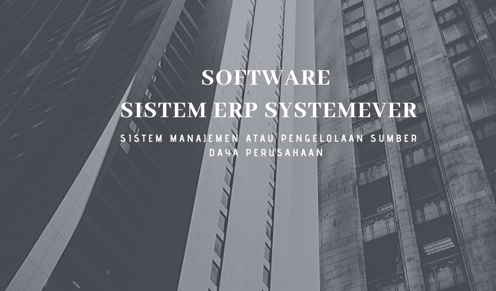 Software Sistem ERP SystemEver